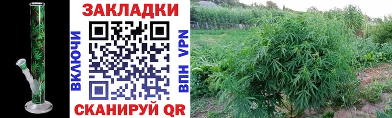 Купить наркоту Рыльск АМФ КОКАИН ГАШИШ A PVP Метамфетамин Каннабис Меф мяу мяу