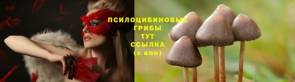 мяу мяу мука Аркадак