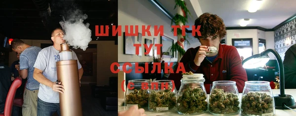 мяу мяу мука Аркадак