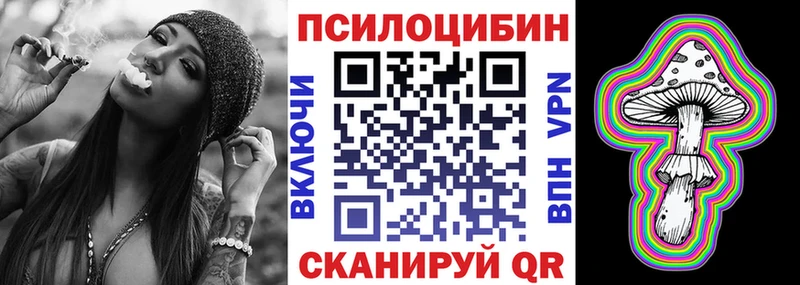 закладки  Рыльск  omg ССЫЛКА  Псилоцибиновые грибы мицелий 